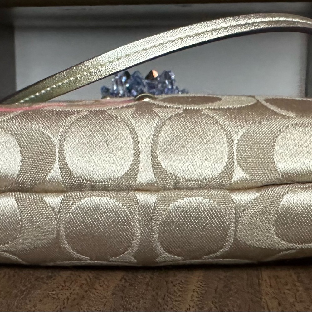 Coach NWOT Daisy Pop C Applique
Med Wristlet Bag - Picture 3 of 8